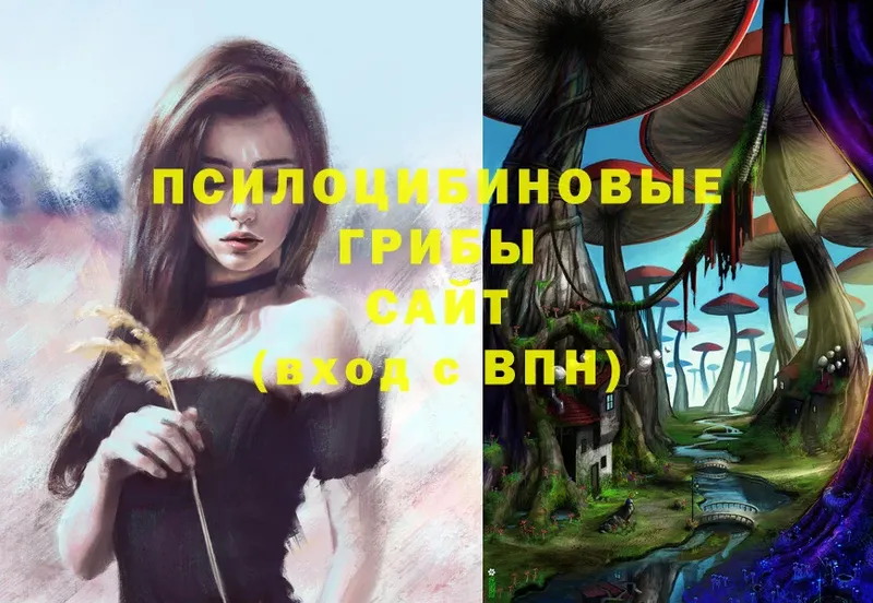 Псилоцибиновые грибы MAGIC MUSHROOMS  купить   Североморск 